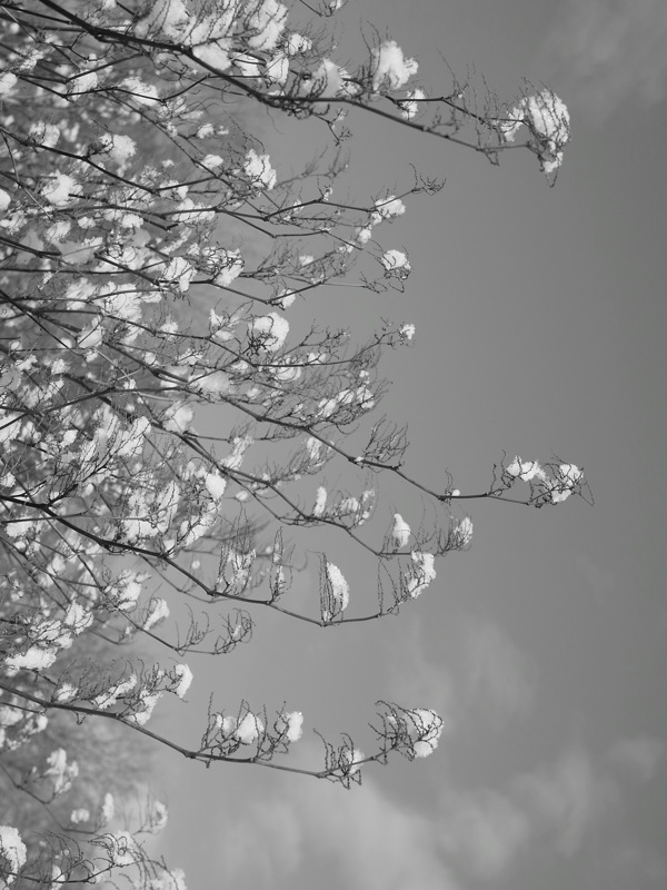 f:id:elmikamino:20111202103926j:image