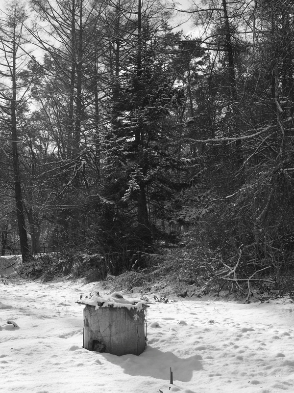 f:id:elmikamino:20111202105024j:image