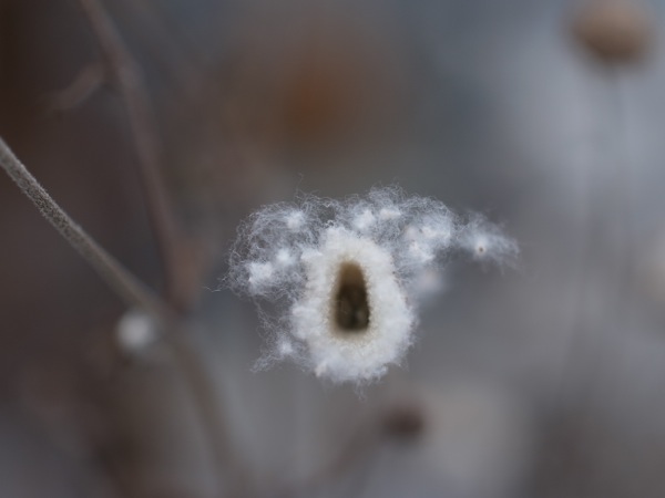 f:id:elmikamino:20111203112510j:image