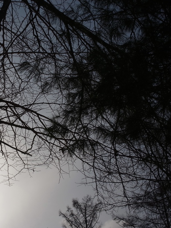 f:id:elmikamino:20111209101216j:image