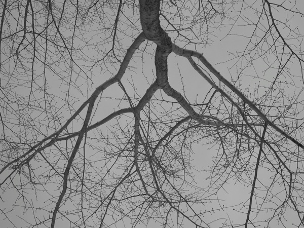f:id:elmikamino:20111209101348j:image