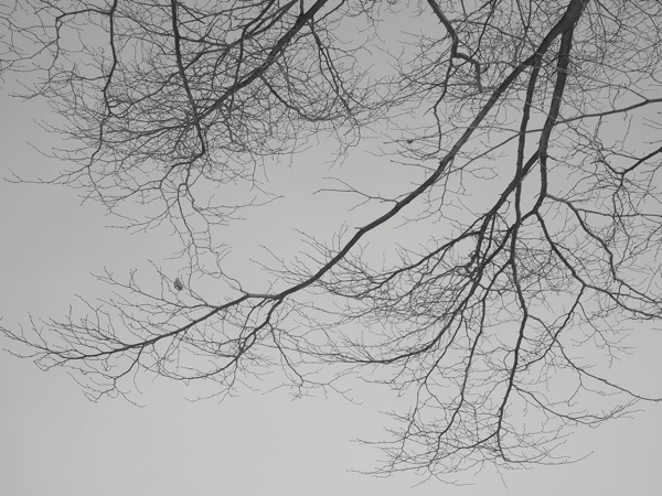 f:id:elmikamino:20111209101441j:image