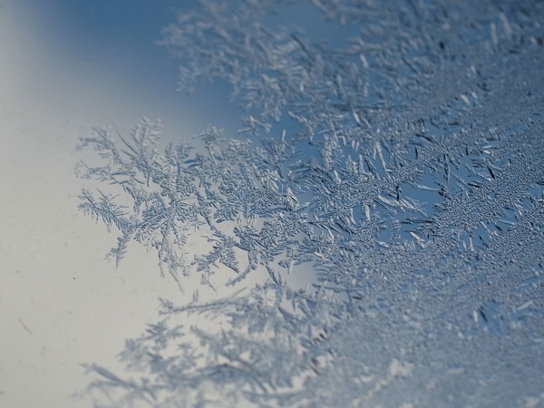 f:id:elmikamino:20111209110216j:image