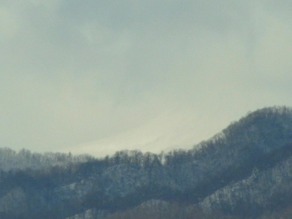 f:id:elmikamino:20111209113707j:image