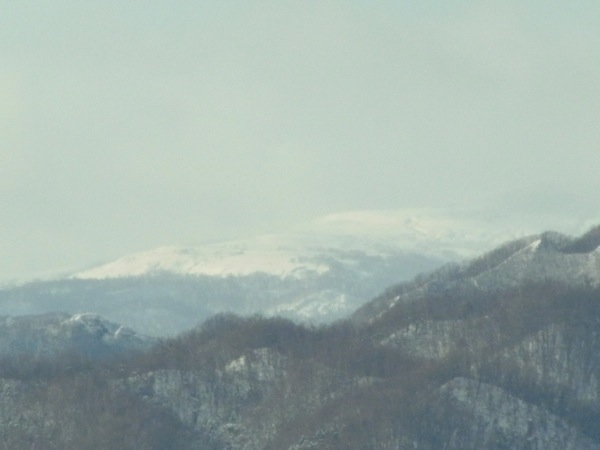 f:id:elmikamino:20111209113715j:image