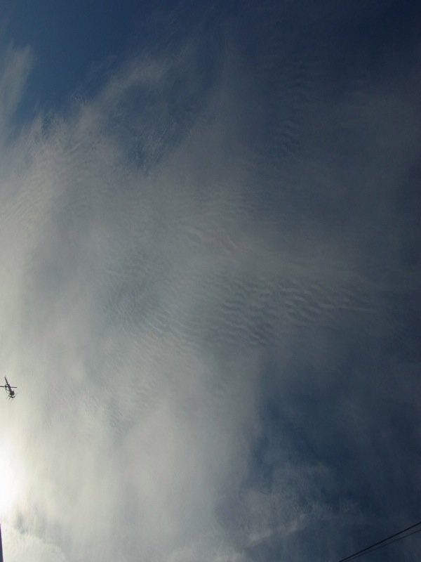 f:id:elmikamino:20111214094741j:image