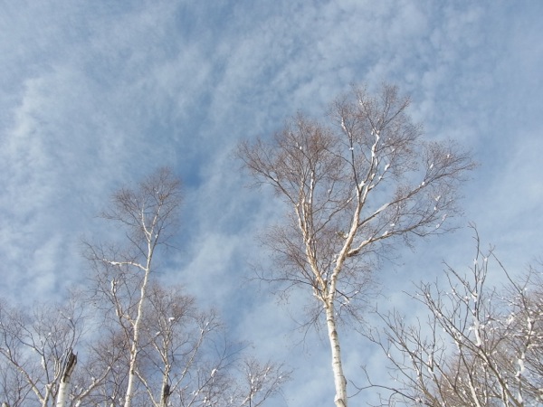 f:id:elmikamino:20111214095311j:image