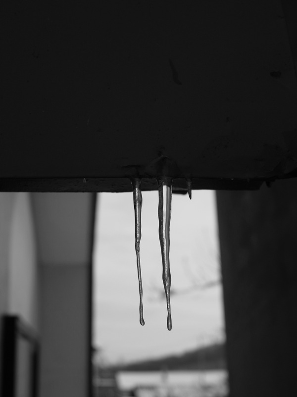 f:id:elmikamino:20111214101017j:image