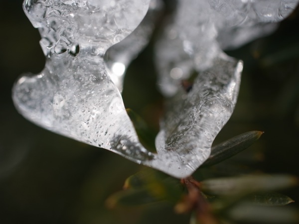 f:id:elmikamino:20111220110346j:image