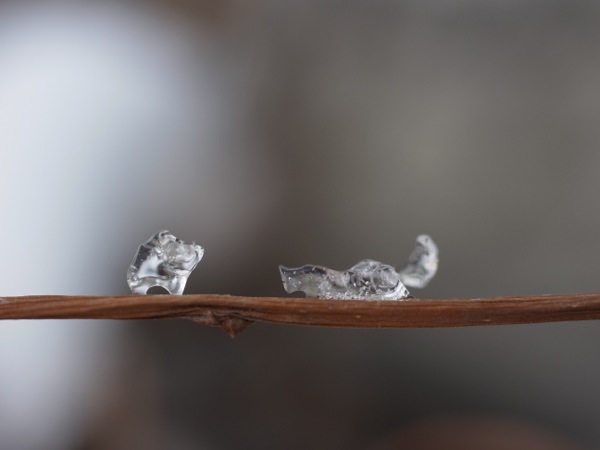f:id:elmikamino:20111220110839j:image