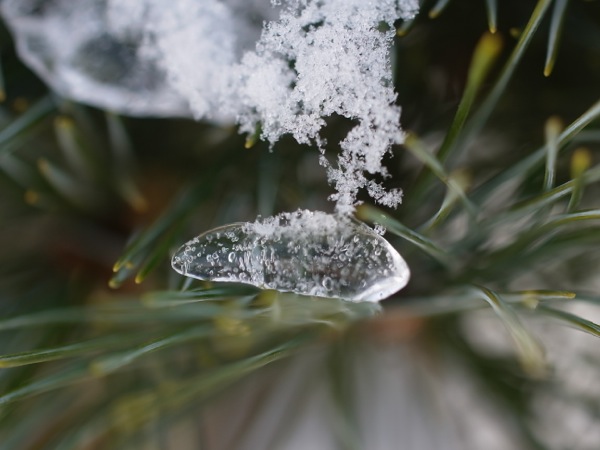 f:id:elmikamino:20111220111024j:image