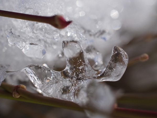 f:id:elmikamino:20111220111507j:image