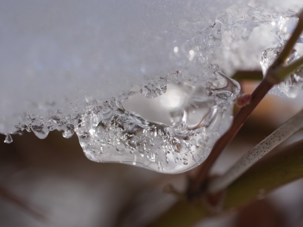 f:id:elmikamino:20111220111519j:image
