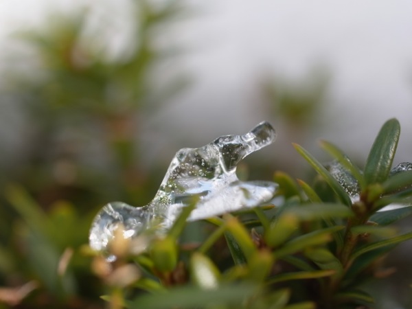 f:id:elmikamino:20111220111601j:image