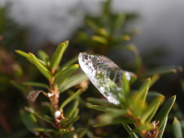 f:id:elmikamino:20111220111608j:image