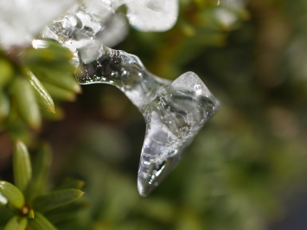 f:id:elmikamino:20111220111650j:image