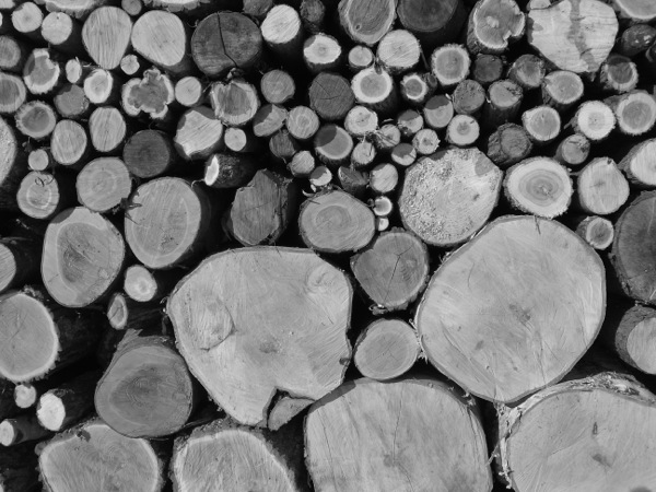 f:id:elmikamino:20111221105926j:image f:id:elmikamino:20111221105926j:image