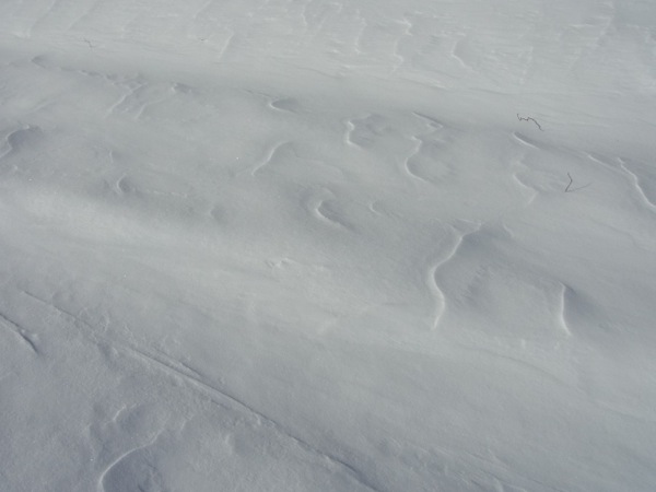 f:id:elmikamino:20111221110455j:image f:id:elmikamino:20111221110455j:image