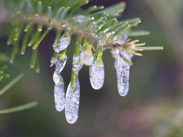 f:id:elmikamino:20111229114801j:image