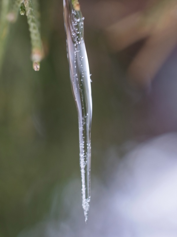 f:id:elmikamino:20111229120020j:image