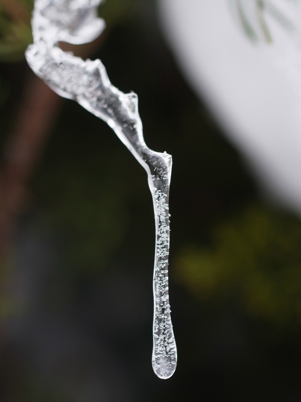 f:id:elmikamino:20111229120044j:image