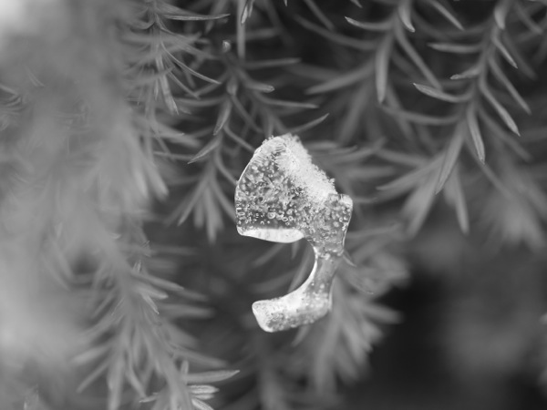 f:id:elmikamino:20120104110532j:image