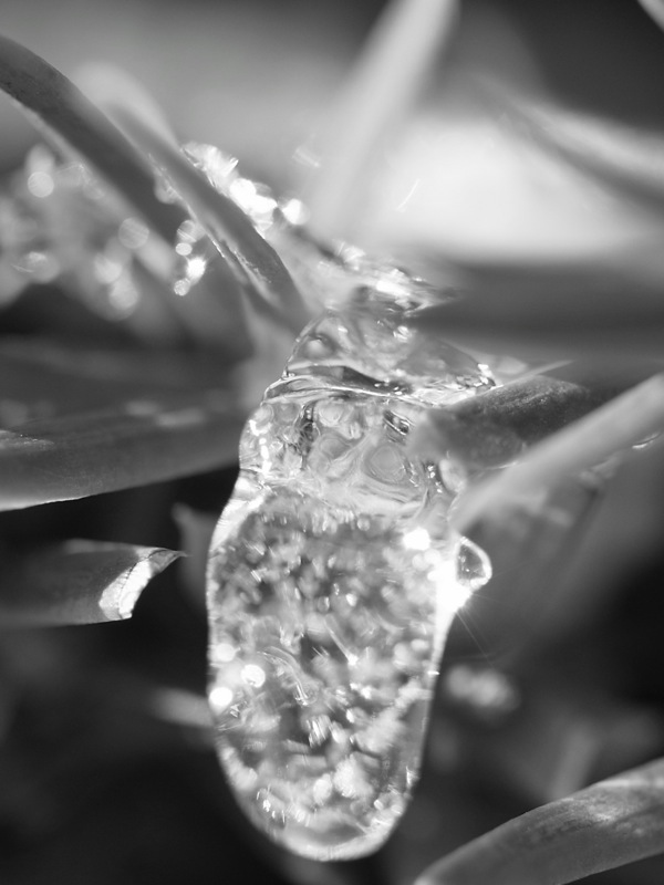 f:id:elmikamino:20120104110626j:image