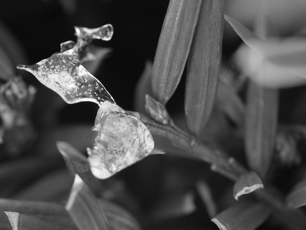 f:id:elmikamino:20120104110650j:image