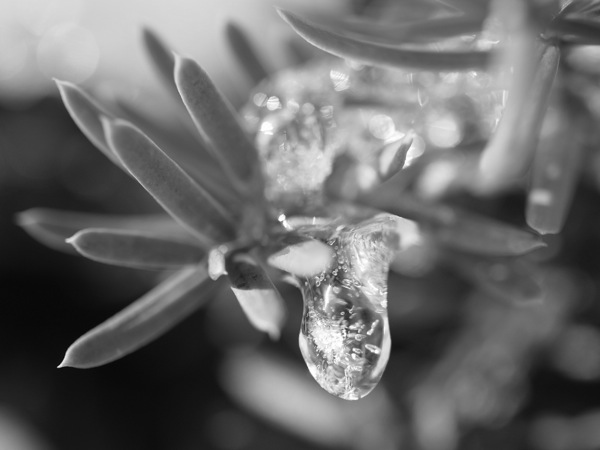 f:id:elmikamino:20120104110703j:image