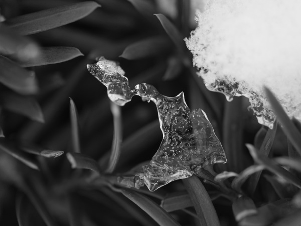 f:id:elmikamino:20120104110728j:image