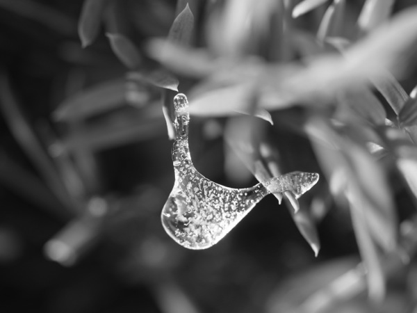 f:id:elmikamino:20120104110748j:image