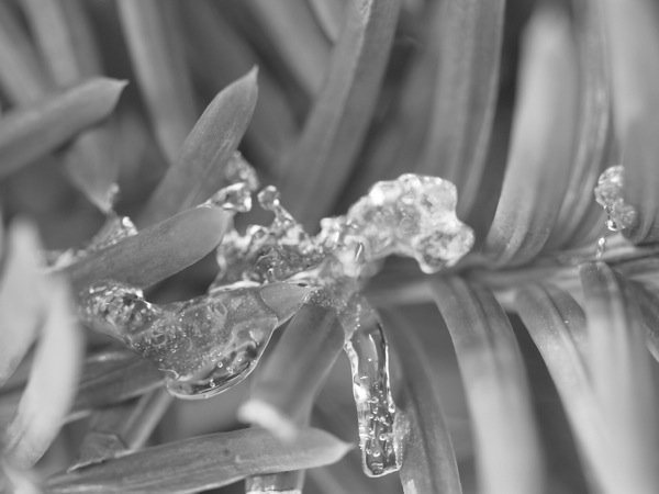 f:id:elmikamino:20120104110833j:image