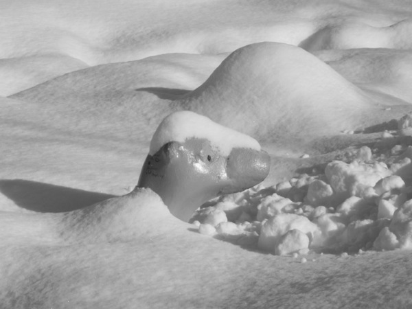 f:id:elmikamino:20120104111409j:image