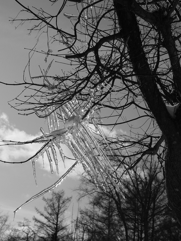 f:id:elmikamino:20120104111815j:image