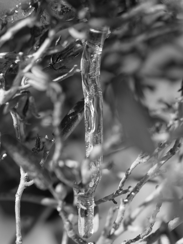 f:id:elmikamino:20120104113549j:image