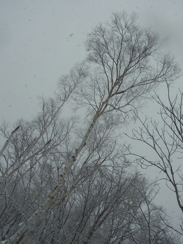 f:id:elmikamino:20120105123128j:image