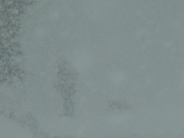 f:id:elmikamino:20120105123723j:image