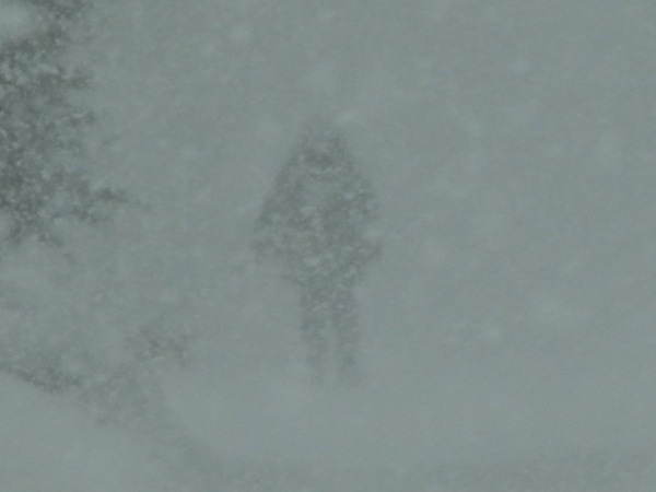 f:id:elmikamino:20120105123734j:image