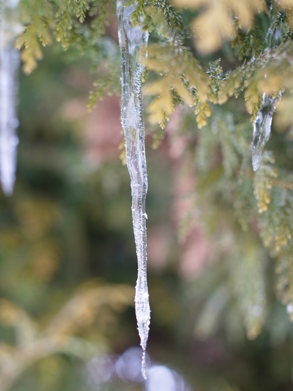 f:id:elmikamino:20120105124120j:image