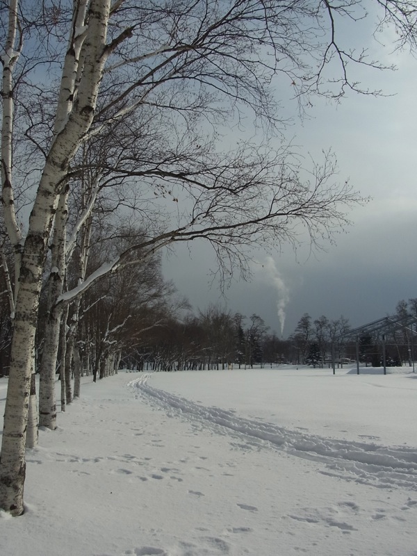 f:id:elmikamino:20120108122223j:image