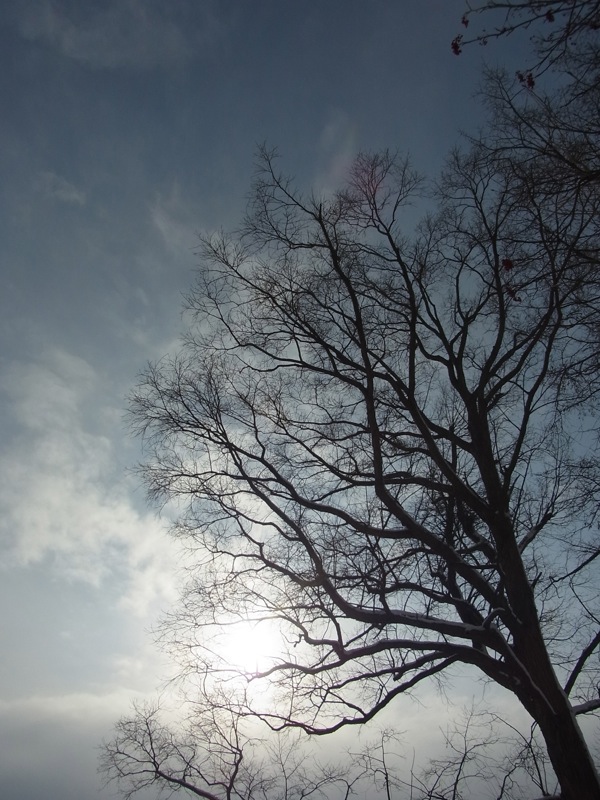 f:id:elmikamino:20120108122323j:image