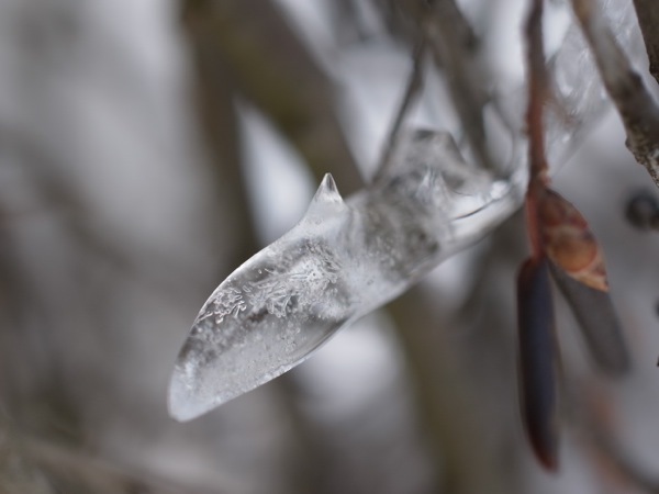 f:id:elmikamino:20120114104314j:image