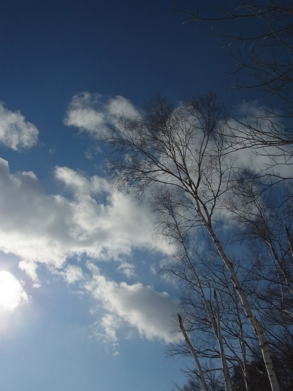 f:id:elmikamino:20120114105107j:image