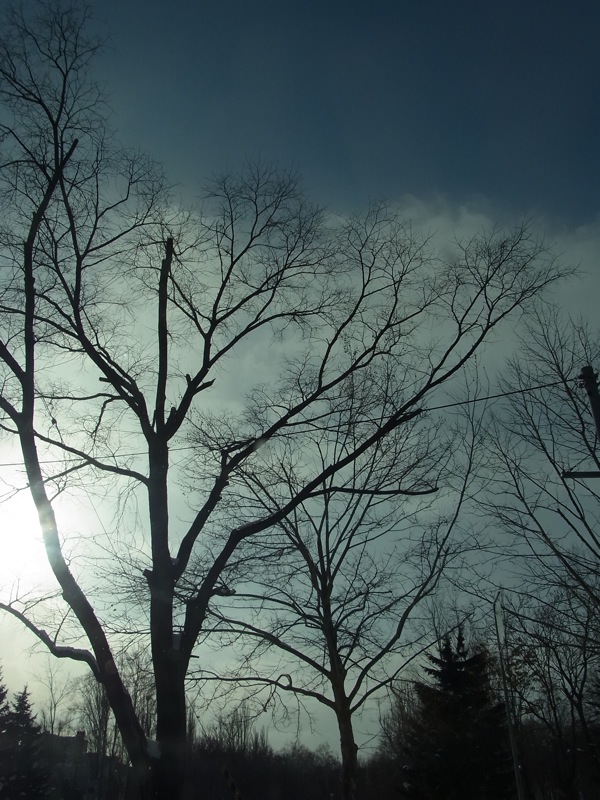 f:id:elmikamino:20120119093854j:image