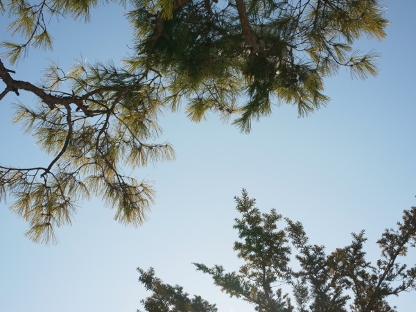 f:id:elmikamino:20120120094950j:image