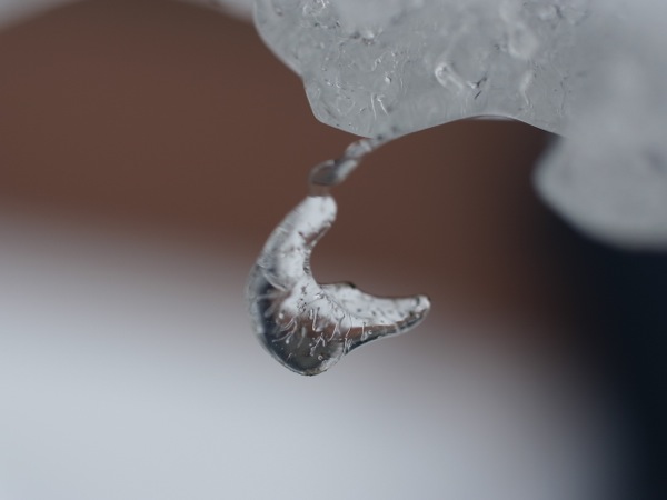 f:id:elmikamino:20120212110926j:image