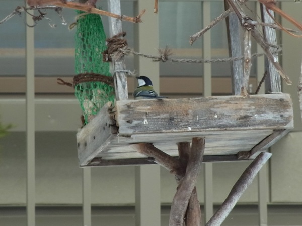 f:id:elmikamino:20120212111850j:image