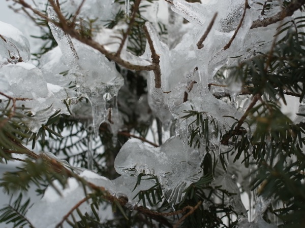 f:id:elmikamino:20120212115906j:image
