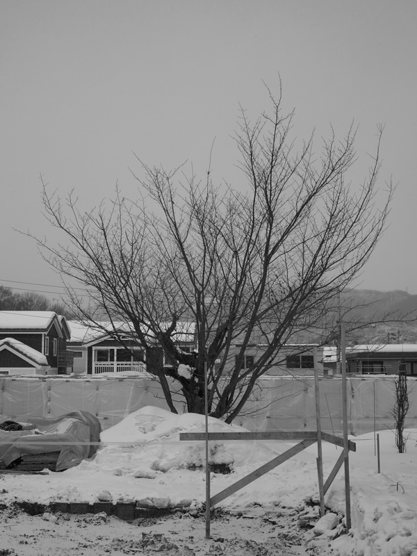 f:id:elmikamino:20120212120005j:image