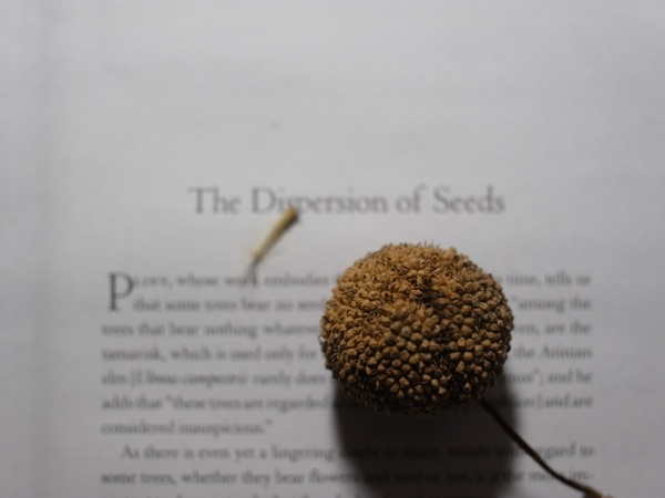 f:id:elmikamino:20120213225616j:image f:id:elmikamino:20120213225616j:image